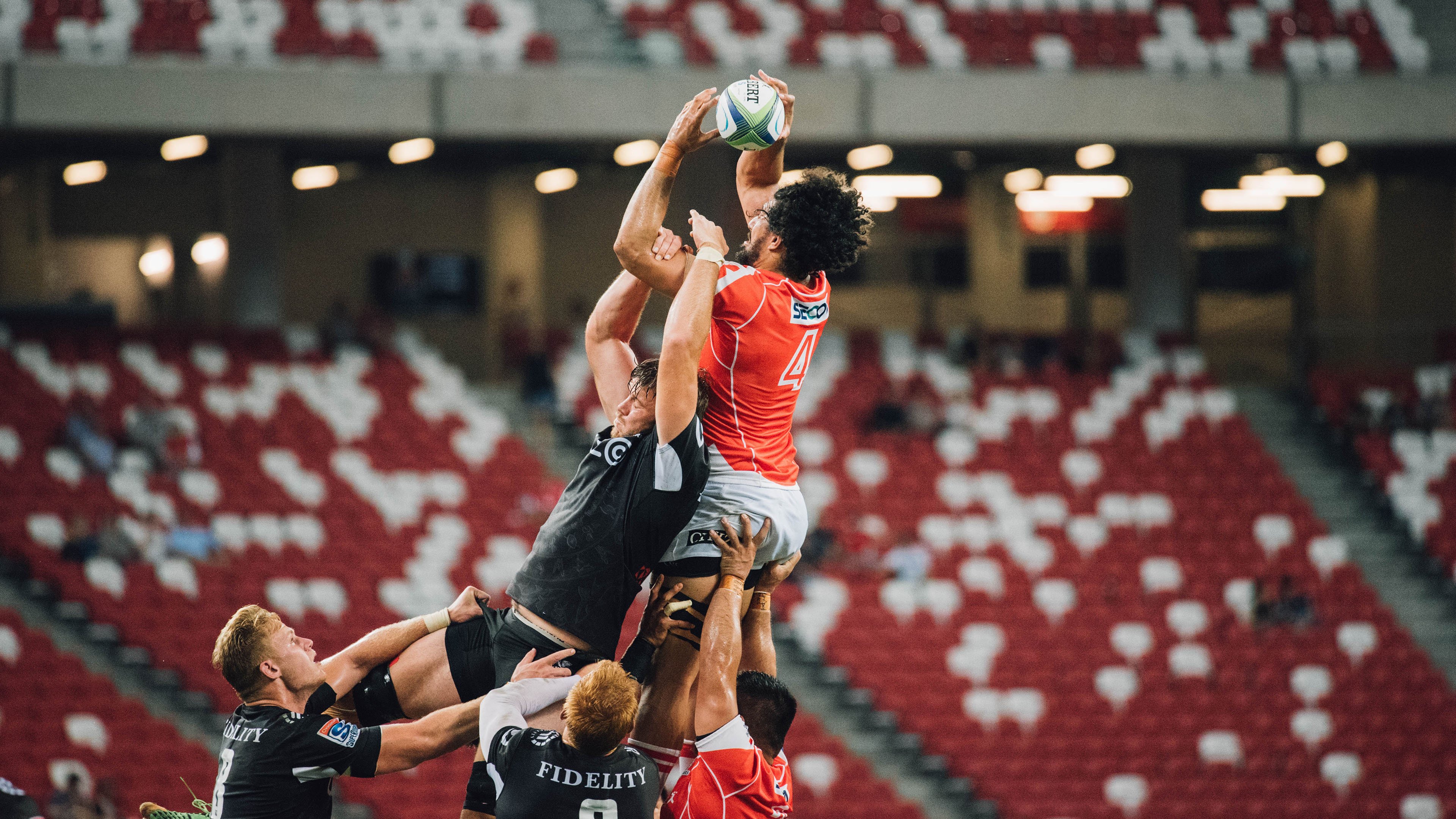 北美风暴，世界杯预演与猛龙展翅的双重奏